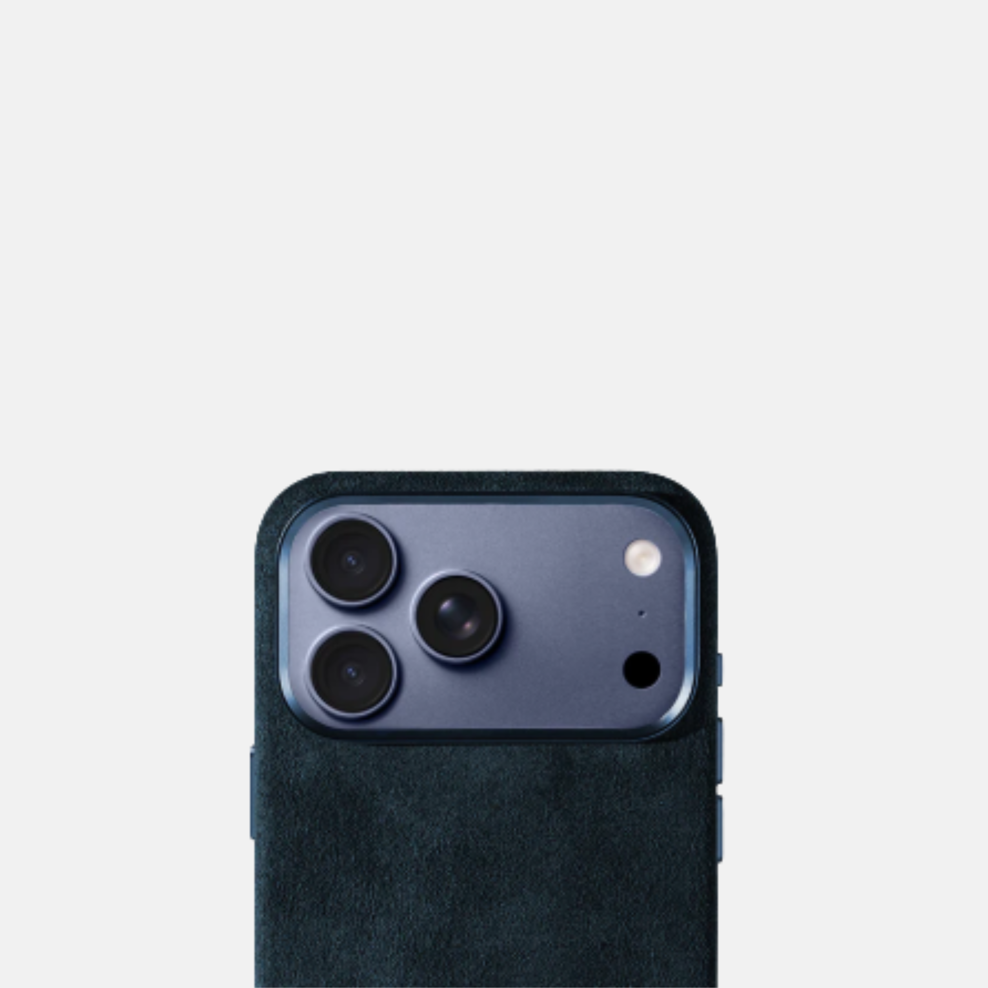 Alcantara Case