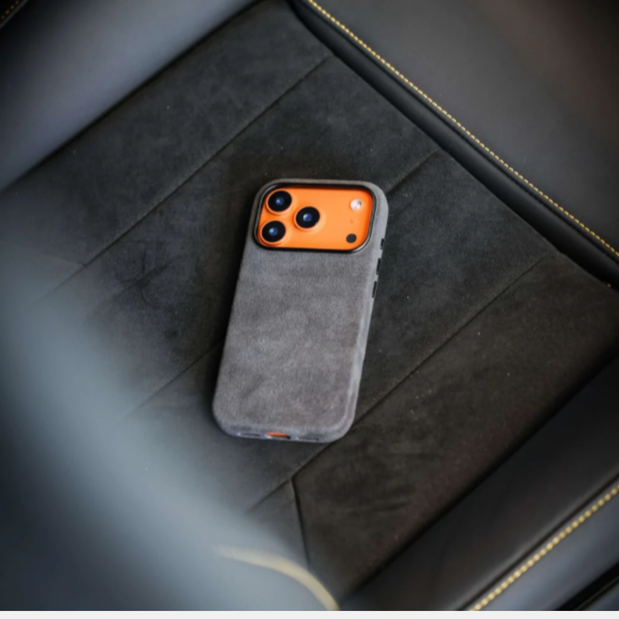 Alcantara Case
